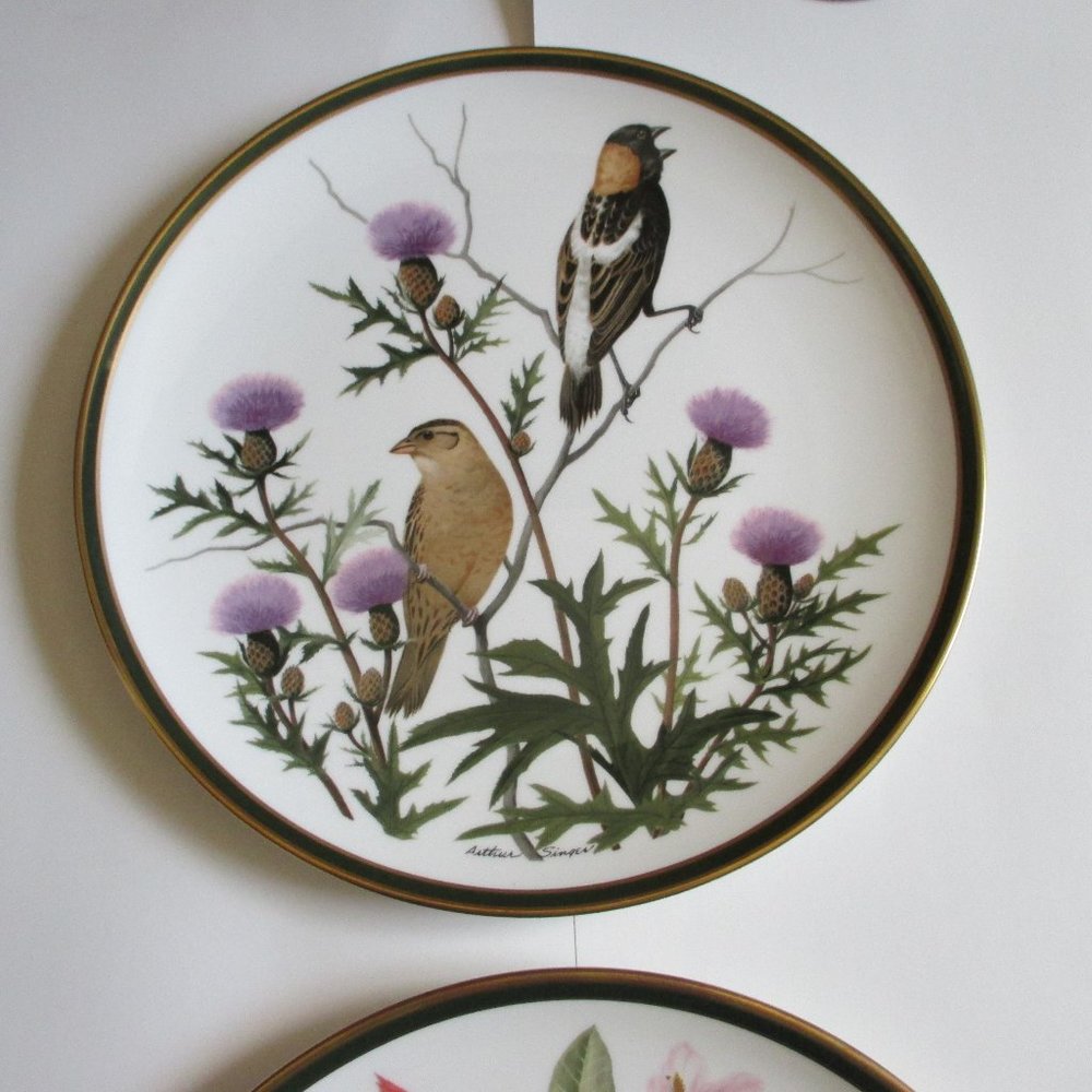 Vtg Franklin Porcelain Songbirds Wedgwood Plate - Picture 3 of 14
